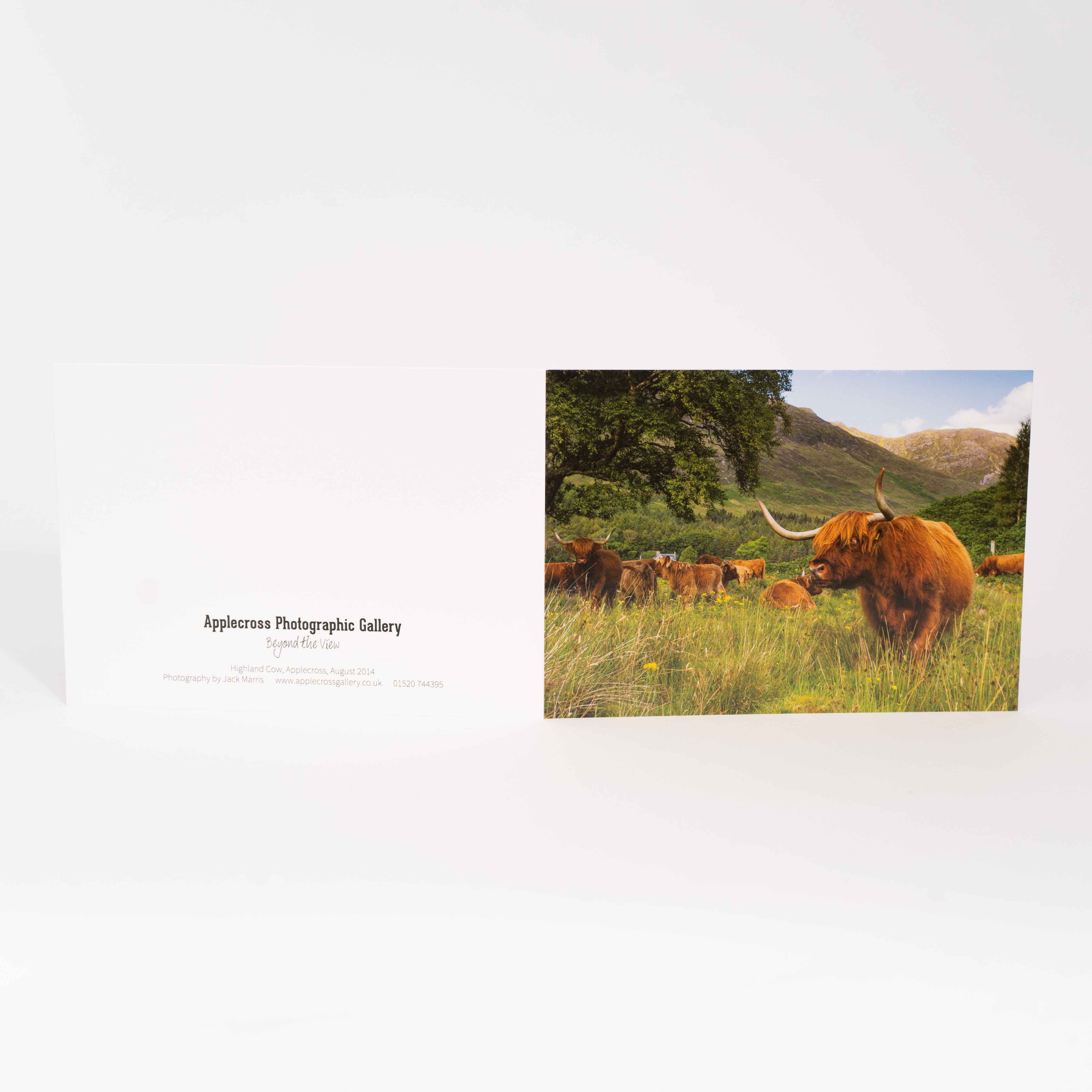 Greeting Card, Highland Coo, Applecross Wildlife, Photographed By Jack Marris - Image 2