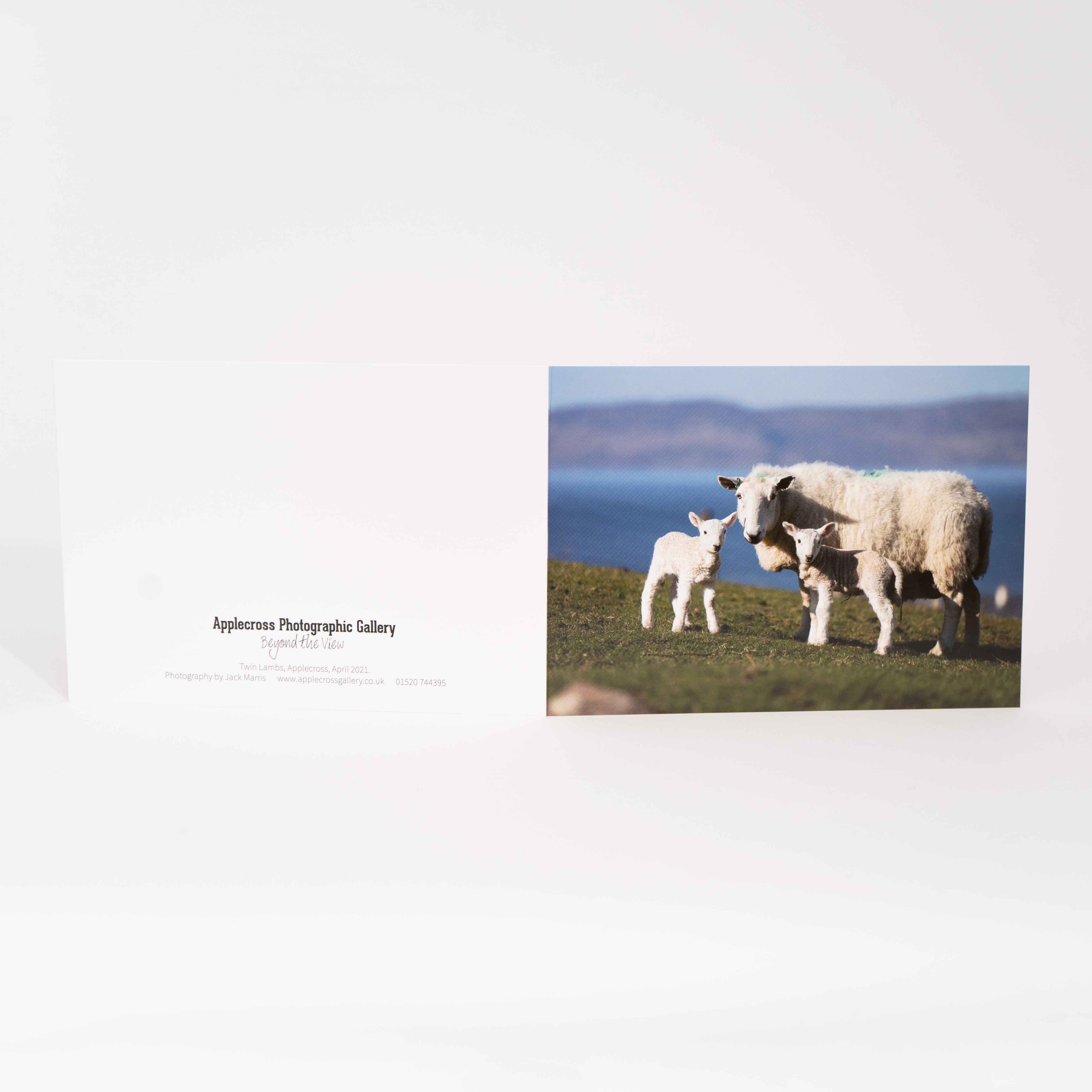 Greeting Card, Twin Lambs, Applecross Wildlife, Photographed by Jack Marris - Image 2