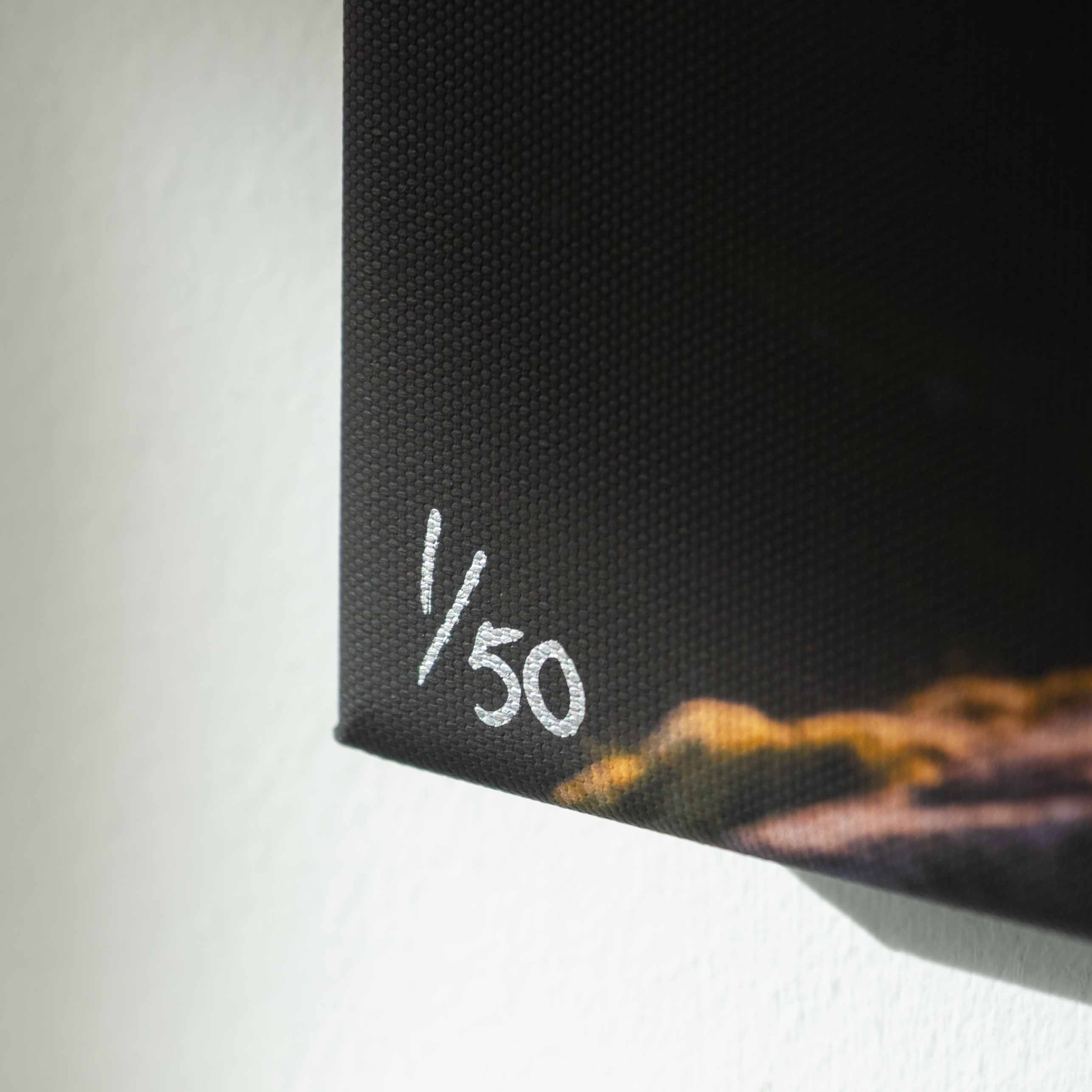 Limited Edition "Light Returning" Photographed by Jack Marris (Released 2026) - Image 5