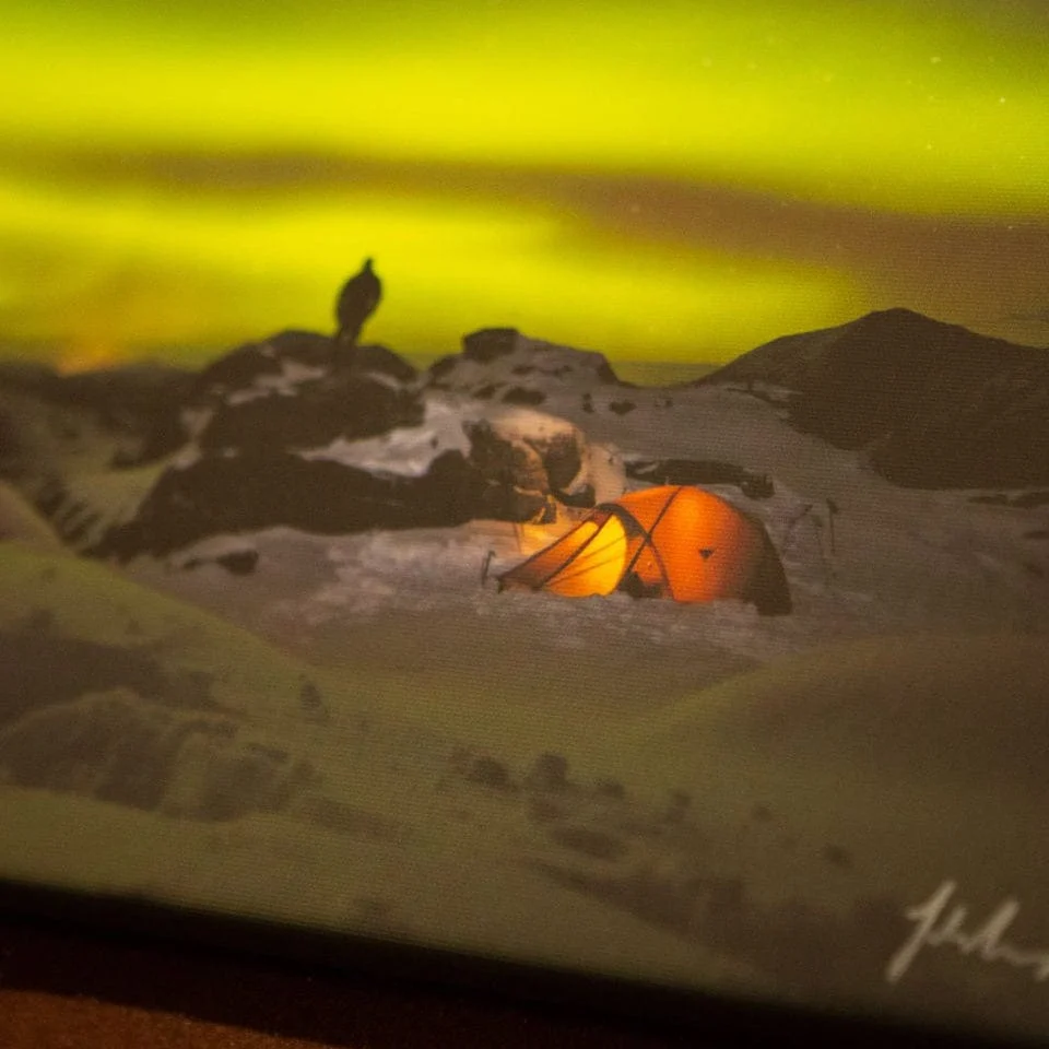 Limited Edition "The Gloaming" Photographed by Jack Marris (Released 2019) - Image 4
