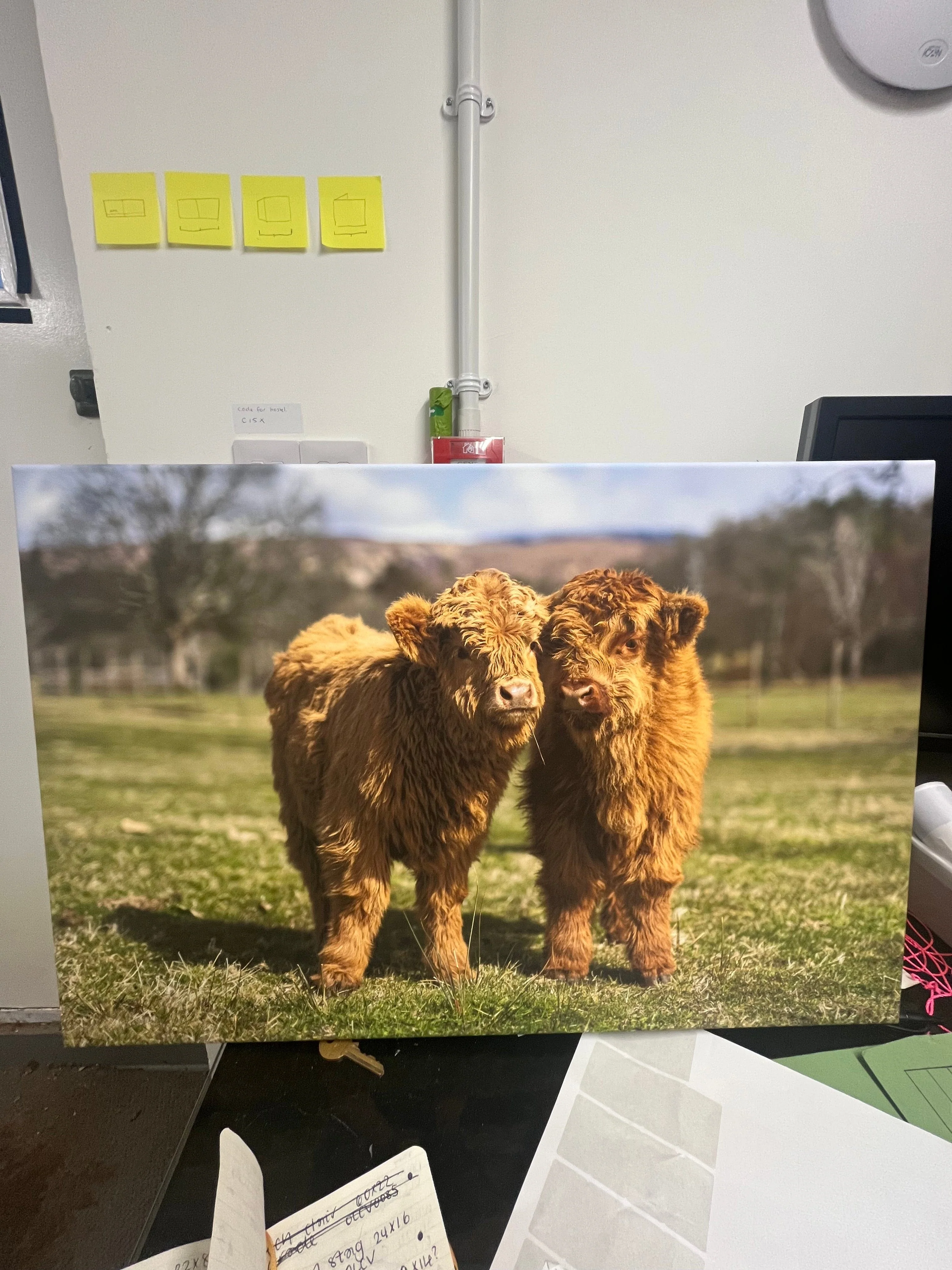 Outlet Flora and Calum Photographed by Jack Marris Canvas 24x16 inches - Image 7