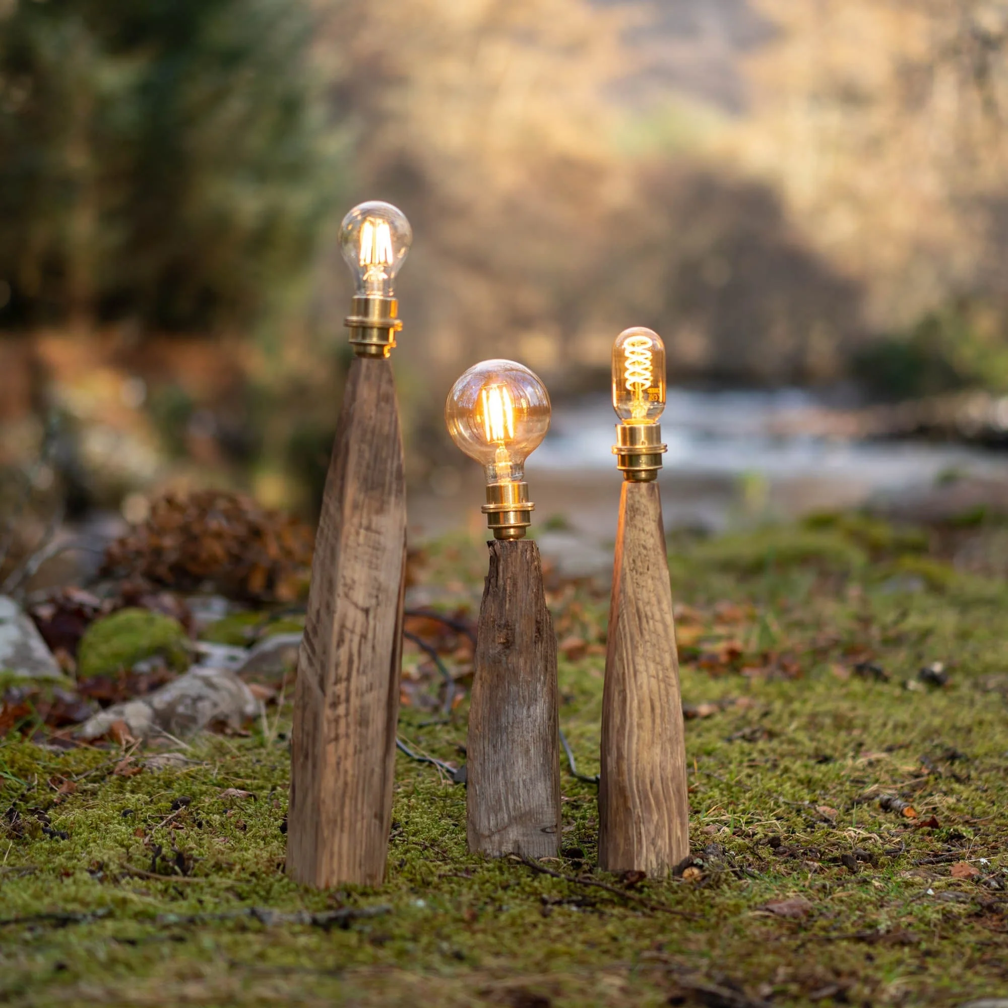 Rustic Larch Fairy Table Lamp - Image 30