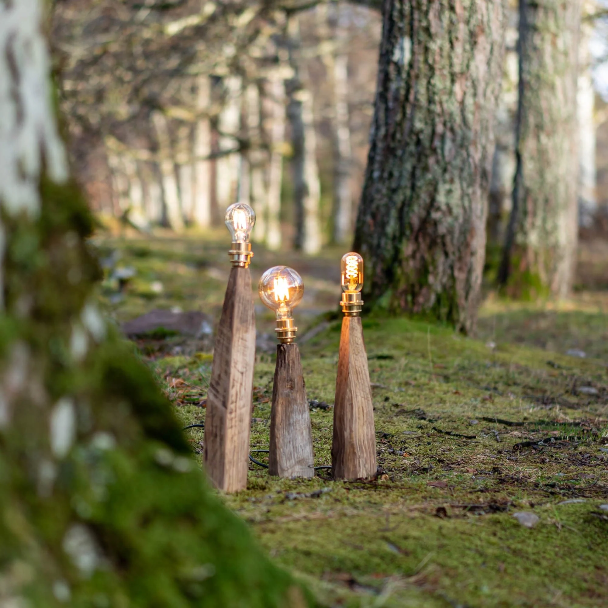Rustic Larch Fairy Table Lamp - Image 31