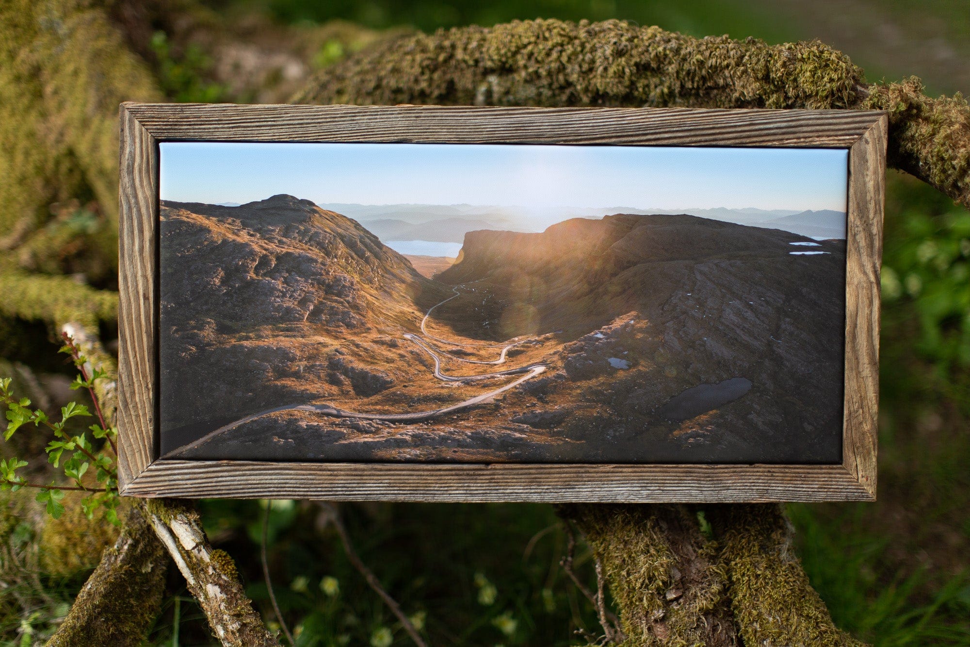 The Hill, Photographed By Jack Marris - Image 18